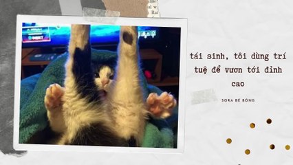 [Truyện Audio - Full] TÁI SINH, TÔI DÙNG TRÍ TUỆ ĐỂ VƯƠN TỚI ĐỈNH CAO