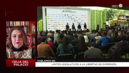 Limites legislativos a la libertad de expresión | Celia Del Palacio