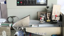 INTRODUCING ZONESUN Horizontal Flow Packing Machine for Plastic and Foil Bags