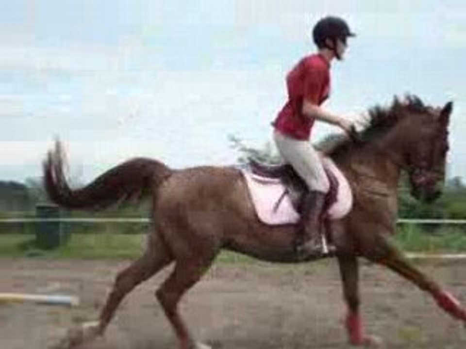 charly vertical 1