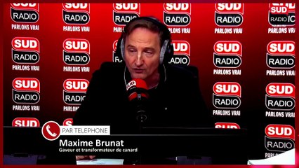 "Notre filière est à l'arrêt" : un troisième foyer de grippe aviaire détecté en Dordogne