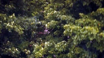 It Welcome to Derry 1x06 Season 1 Episode 6 Trailer - In the Name of the Father