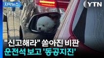 [자막뉴스] 운전 이상하게 하던 차 봤더니...강아지를 '맙소사' / YTN