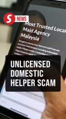 Unlicensed domestic helper scams cost RM269,772 since 2023