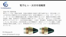 グローバル電子ヒューズのトップ会社の市場シェアおよびランキング 2025