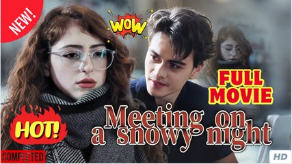 Meeting on a snowy night (2025) - FULL