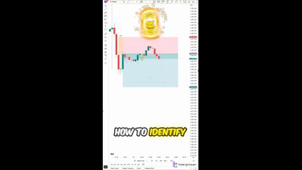 🌟 FVG (Fair Value Gap Imbalance Reduced) detector indicator MT4/5 & Tradingview [TradingFinder]