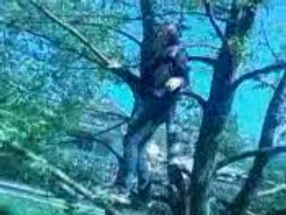 une tarée ds les arbres