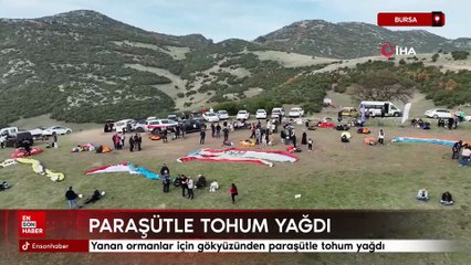 Bursa'da yanan ormanlar için gökyüzünden paraşütle tohum yağdı