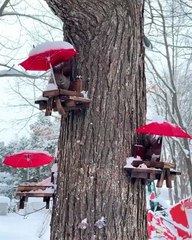 Tiny picnic tables for squirrels in the winter