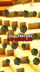 Les Situations Impossibles sur Minecraft