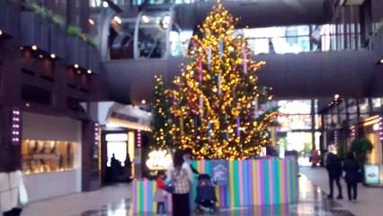 茶屋町アプローズのクリスマスツリー2025