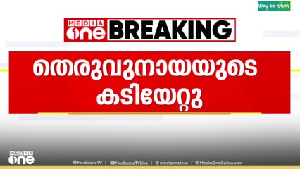 വിദേശിക്ക് തെരുവുനായയുടെ കടിയേറ്റു...