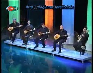 Gülşen Kutlu - Bir Çift Turna Gördüm
