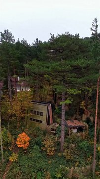 À moins de 2h de Lille, tu trouves des eco-lodges très design en pleine forêt. 🌳 🍂😌📍Bain de Forêt 7 allée des fauvettes62152 Hardelot plage