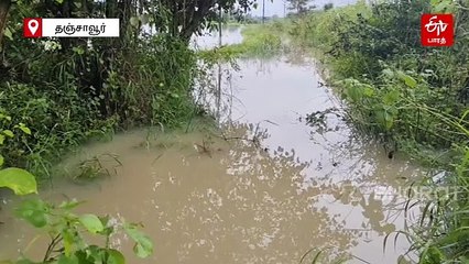 கனமழை காரணமாக இடுப்பளவு நீரில் மூழ்கிய நெற்பயிர்கள் - விவசாயிகள் வேதனை!