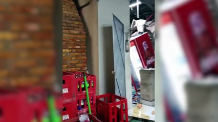 Vaca cai sobre o telhado de restaurante no Ceará, causa destruição e deixa funcionária ferida