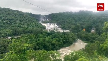 வெளுத்து வாங்கும் மழை: மணிமுத்தாறு அருவியில் குளிக்க தடை!