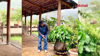 धर्मेंद्र यांची किती कोटींची संपत्ती, संपत्तीचं विभाजन कसं होणार