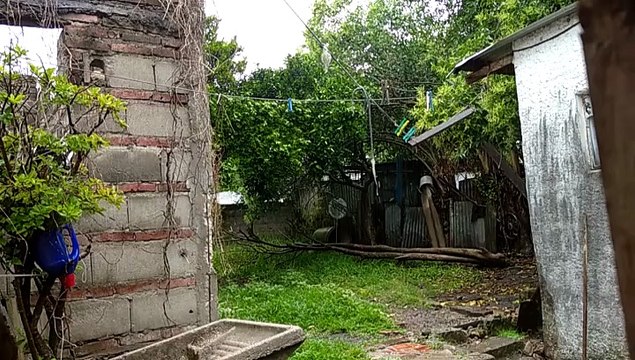 Lluvia Suave y Relajante - Casi 2 horas - Alivia el Estrés y la Ansiedad