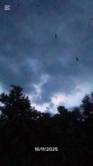 Con la barra de peludos, mi única compañía