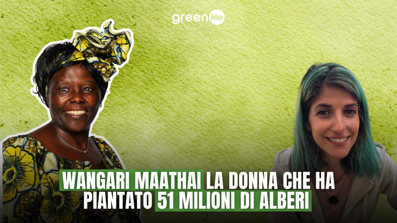 Wangari Maathai la donna che ha piantato 51 milioni di alberi