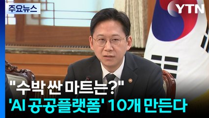 "수박 싼 마트 어디?"...'실생활 AI 공공플랫폼' 10개 만든다 / YTN