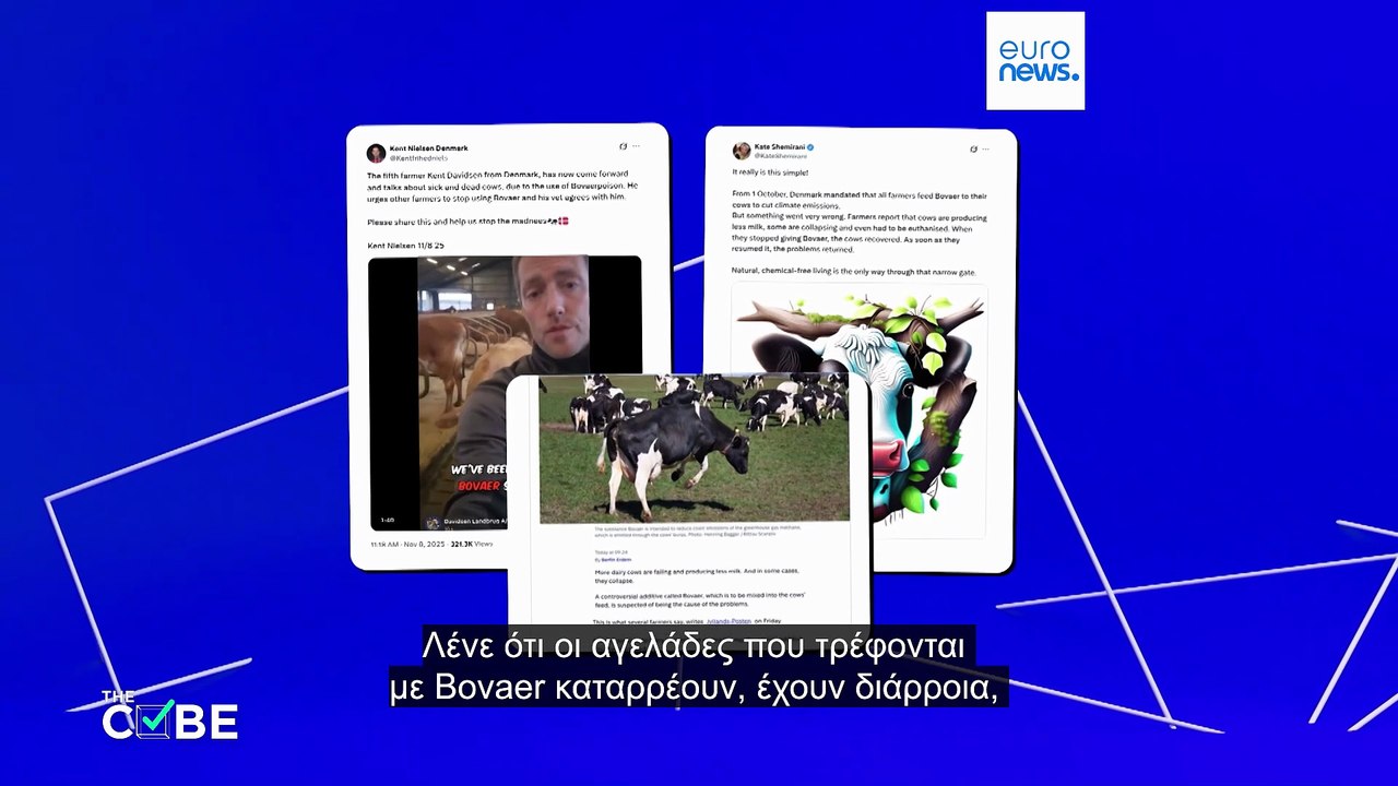 The Cube: Έλεγχος γεγονότων-Πεθαίνουν αγελάδες...