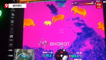 हजारीबाग में जंगली हाथियों से बचाव के लिए वन विभाग ने तैयार किया एप्लीकेशन, हमर हाथी एप से बचेगी जान