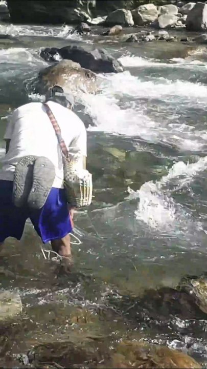 cast net fishing in Nepal | himalayan trout fishing with handmade cast net |
