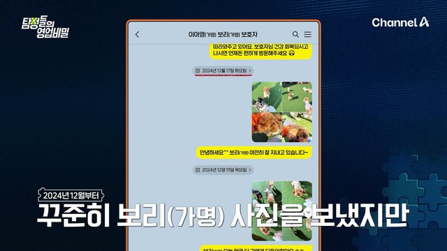 반려견 소식을 전해주는 훈련사의 연락에도 읽기만 하던 보호자?! 그녀가 연락을 피하는 이유는?