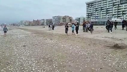 la emotiva despedida al adolescente argentino que murió tras ser arrastrado por el mar en Chile