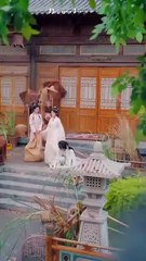 scorned beauty desperate men chinese drama