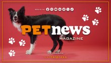PetNews Magazine - 24/11/2025