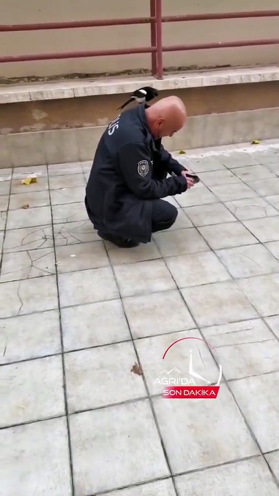 VIDEO: ¡Viveza criolla! Urraca engañó a un policía y le robó dinero en segundos