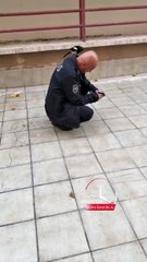 VIDEO: ¡Viveza criolla! Urraca engañó a un policía y le robó dinero en segundos