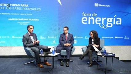 Foro de energía: Infraestructuras para el desarrollo de los gases renovables