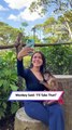 Monkey Selfie Fail Gets Way Too Personal—And It’s Hilarious! 🐒😂|| Heartsome 💖