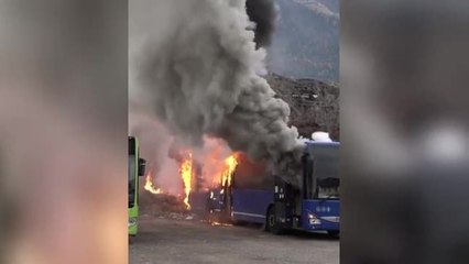 Autobus divorato dalle fiamme, l’intervento dei vigili del fuoco