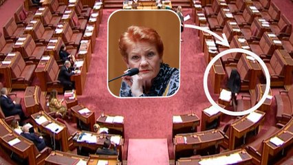 Un acte « raciste et irrespectueux » : en Australie, une sénatrice revêt une burqa au Parlement