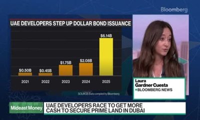 UAE Developers Raise Billions in Bond Markets
