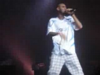 LA FOUINE - Reste en chien (live Dôme Marseille 08)