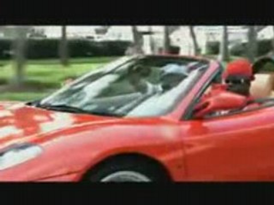 Rohff feat. TLF .: pimp ma life :.