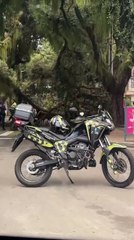 Árvore cai no Corredor da Vitória na manhã desta segunda-feira; confira como está a situação do local