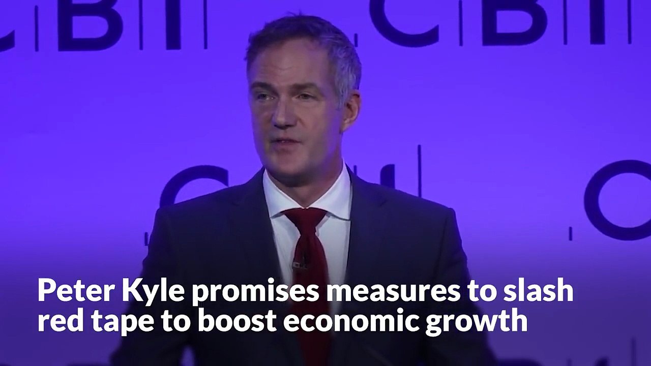 Peter Kyle promises measures to slash red tape for firms in the hope of boosting economic growth