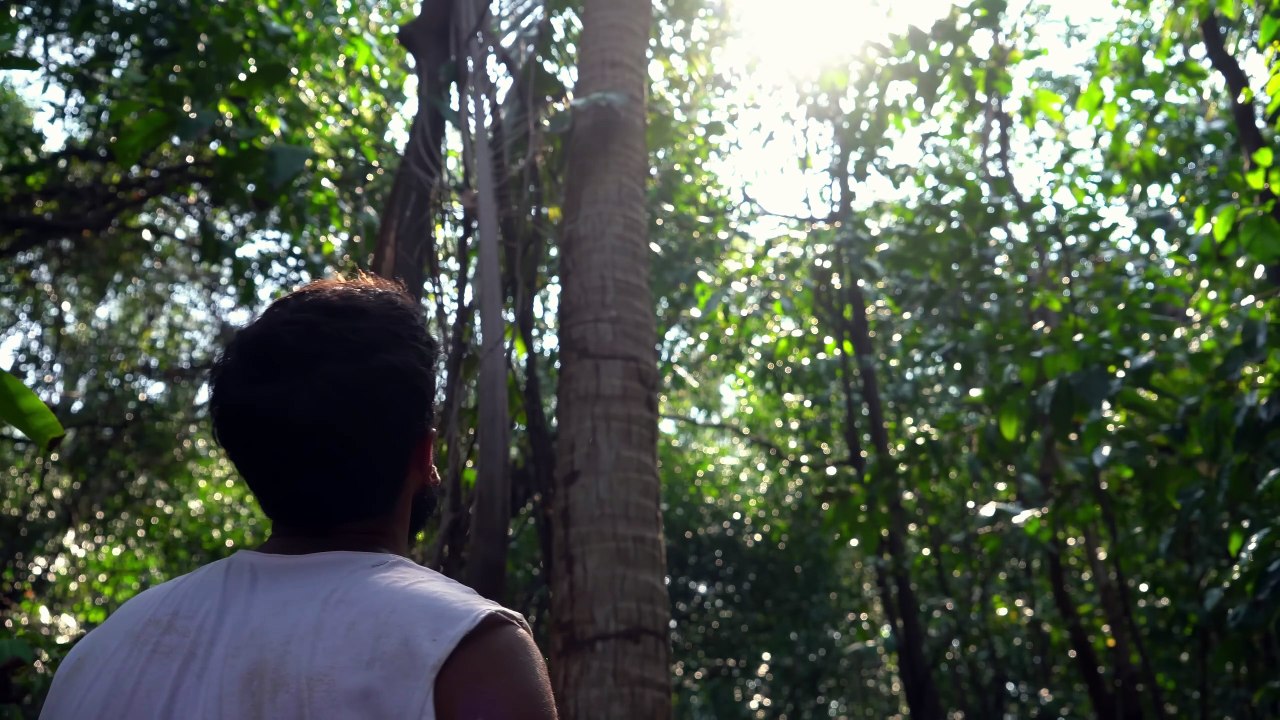 3 DAYS solo survival on island (NO FOOD, NO WATER, NO SHELTER) Catch and Cook. Bushcraft Camping -Hakan Karahan Doğada