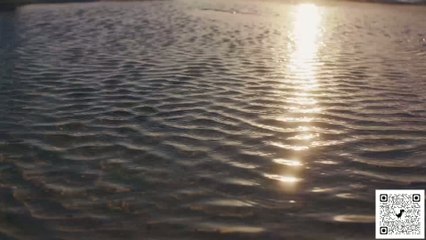 LUX Belle Mare 2 test BG qrcode