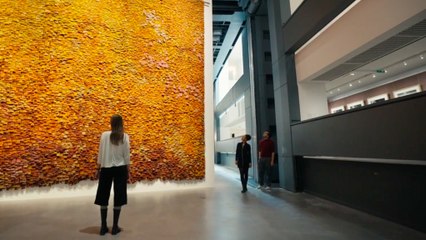La Fundación Cartier estrena monumental sede de arte contemporáneo en París