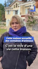 Cette maison accueille des centaines d'animaux maltraités, et elle se trouve dans les Alpes-Maritimes