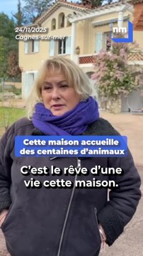 Cette maison accueille des centaines d'animaux maltraités, et elle se trouve dans les Alpes-Maritimes